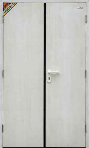 Caymeo Fire Proof Door product picture, CA-FPDOOR007