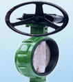 Butterfly valve product, series number CA-BT004