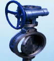 Butterfly valve product, series number CA-BT005