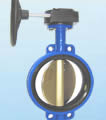 Butterfly valve product, series number CA-BT007