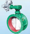 Butterfly valve product, series number CA-BT008