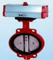 Butterfly valve product, series number CA-BT011