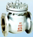Check valve products, series number CA-CK010