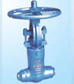 Globe valve products, series number CA-GL001