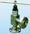 Globe valve products, series number CA-GL002