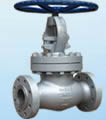 Globe valve products, series number CA-GL008