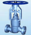 Globe valve products, series number CA-GL010