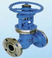 Globe valve products, series number CA-GL011