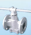 plug valve products, series nubmer CA-PL009