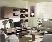 Living Room Furniture, product serie number C-LI11