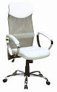 Office Chair Product series number OC028